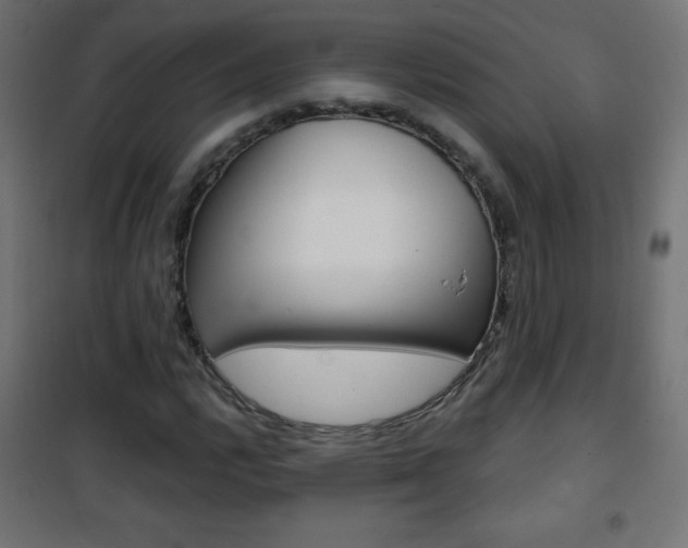 X0000101471112200807071212
