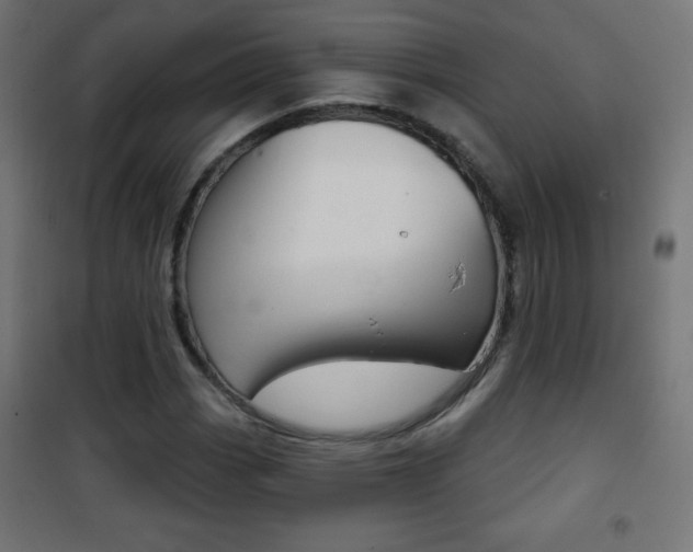 X0000101471113200807071212