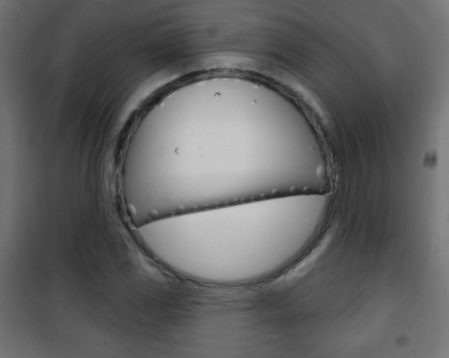 X0000101471117200807071212
