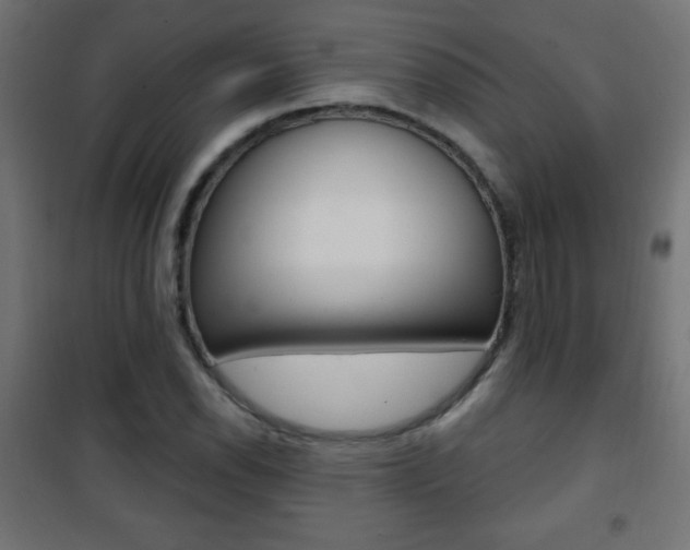 X0000101471118200807071212