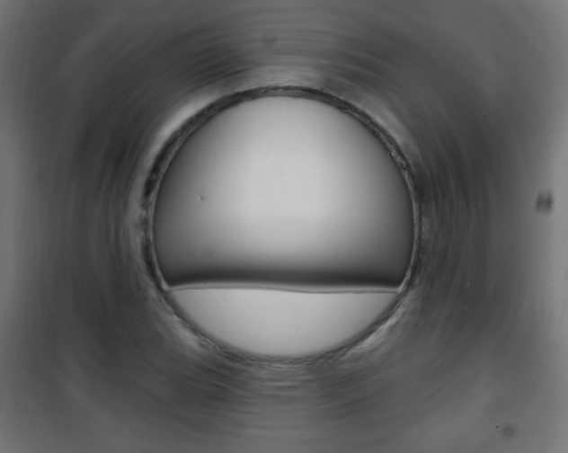 X0000101471119200807071212