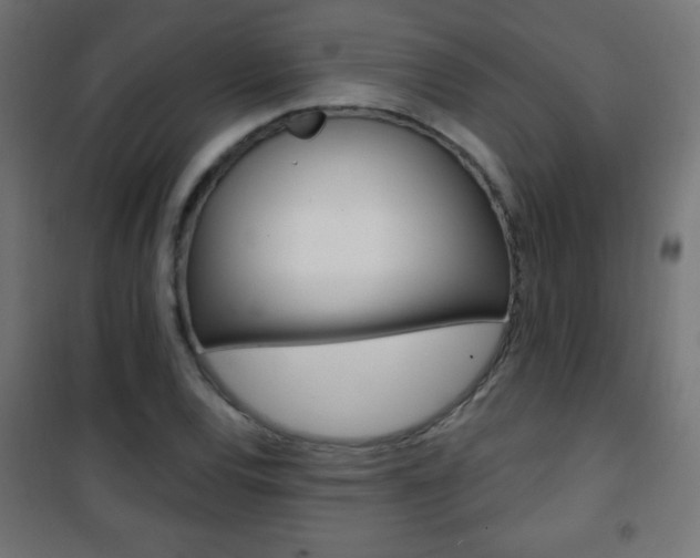 X0000101471120200807071212