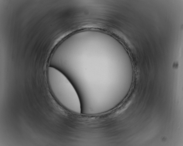 X0000101471121200807071212