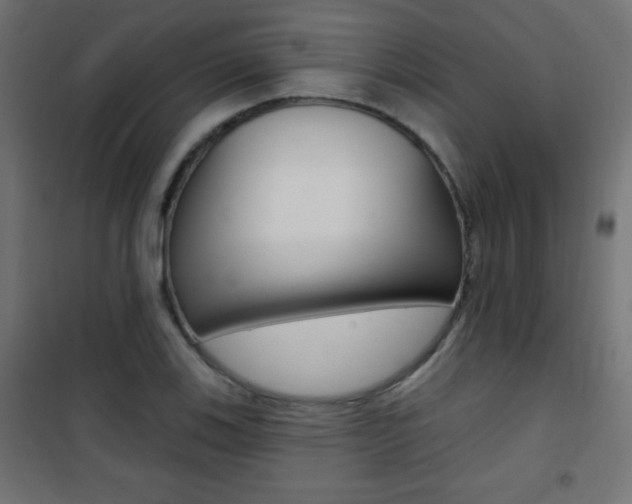 X0000101471123200807071213