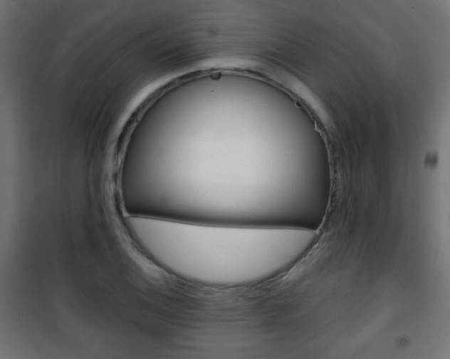 X0000101471124200807071213