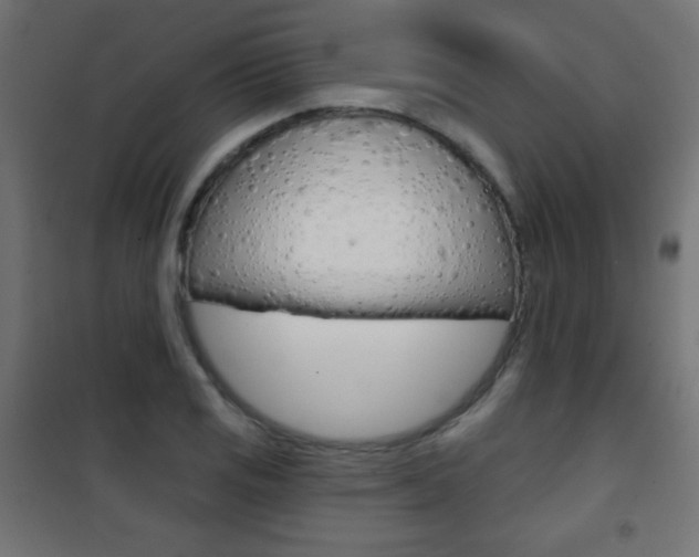 X0000101471125200807071213