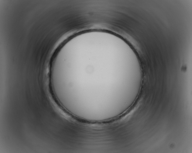 X0000101471126200807071213