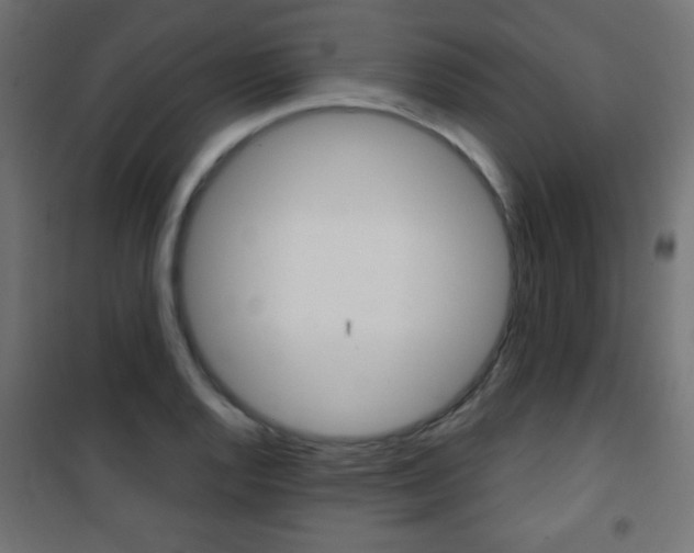 X0000101471128200807071213