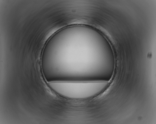 X0000101471129200807071213