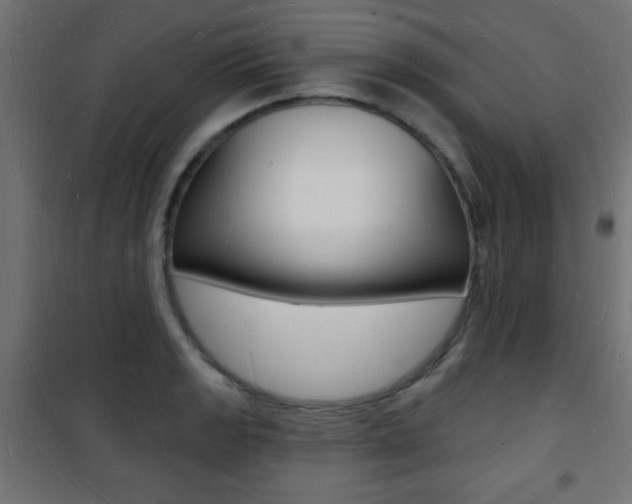 X0000101471133200807071213