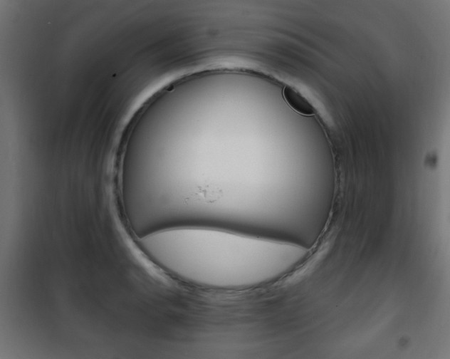 X0000101471134200807071213