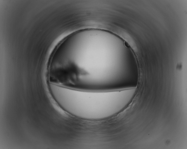 X0000101471136200807071213