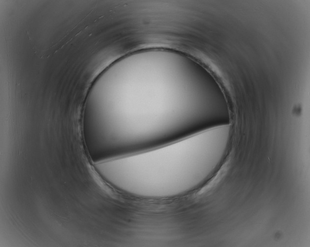 X0000101471137200807071213