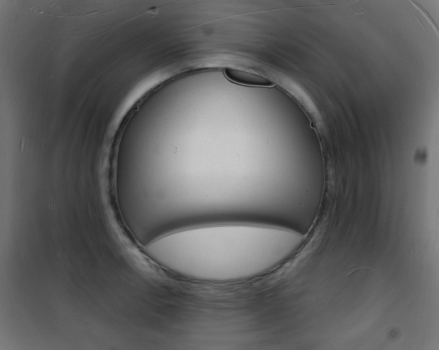 X0000101471138200807071213