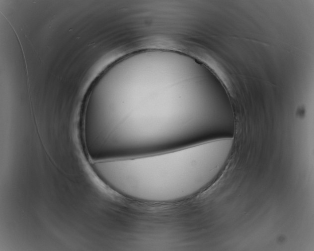 X0000101471139200807071213