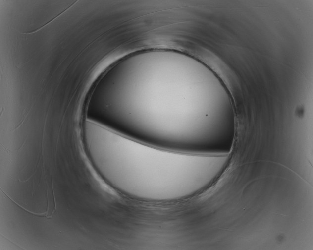 X0000101471141200807071213