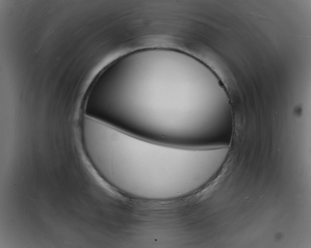 X0000101471142200807071213