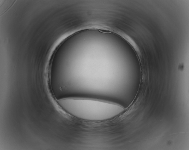 X0000101471144200807071213