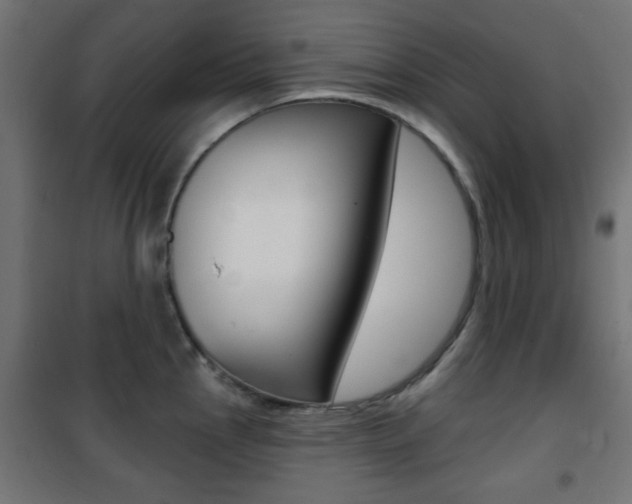 X0000101471145200807071213