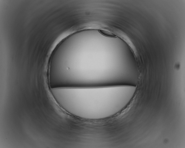 X0000101471146200807071213