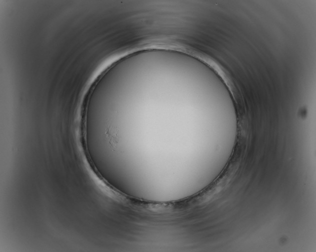 X0000101471147200807071213