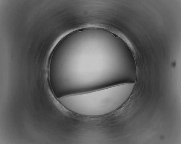 X0000101471148200807071213