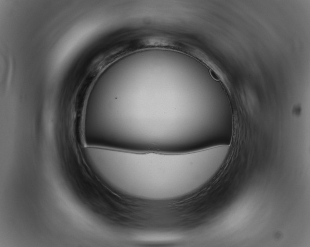 X0000101471151200807071213