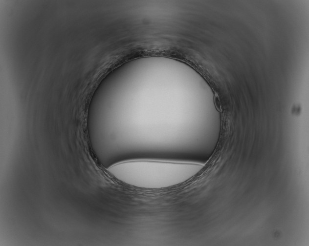 X0000101471153200807071212