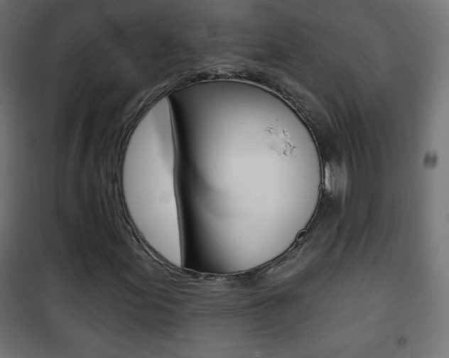 X0000101471155200807071212