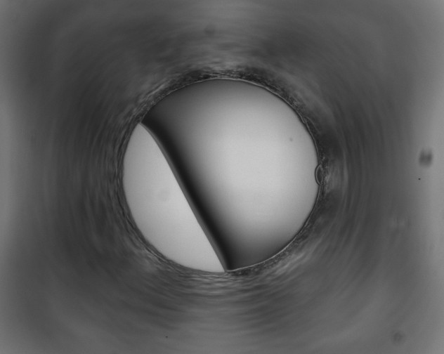 X0000101471156200807071212