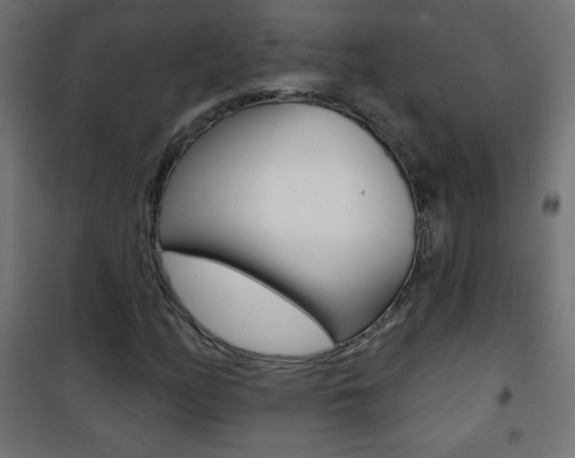 X0000101471158200807071212