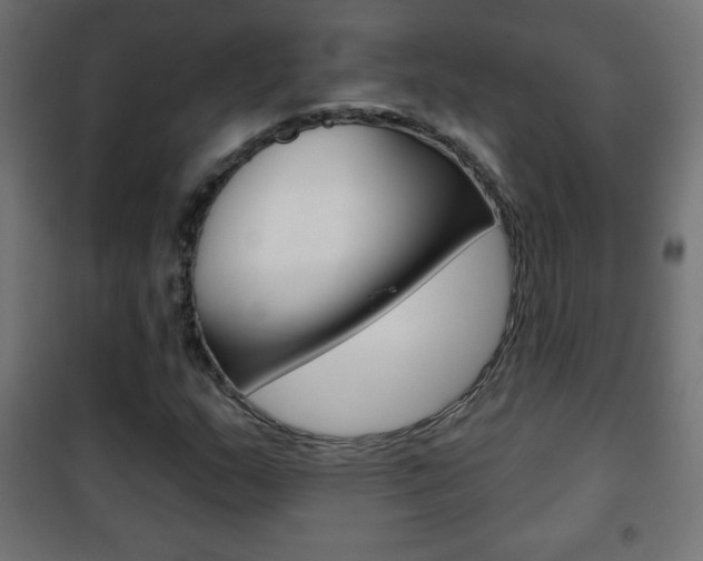 X0000101471159200807071212