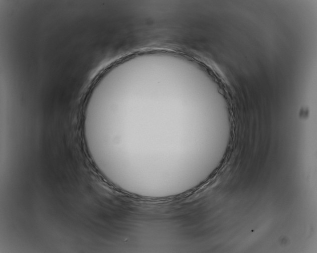 X0000101471160200807071212