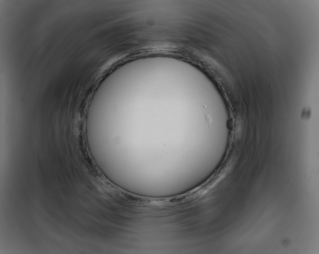 X0000101471161200807071212