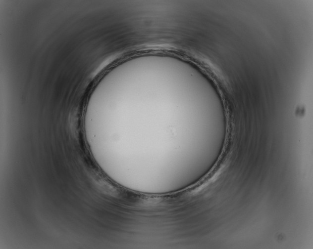 X0000101471162200807071212