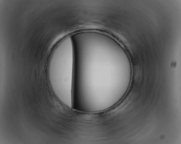 X0000101471163200807071212