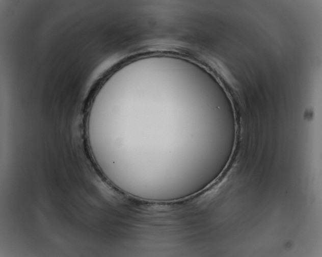 X0000101471164200807071212