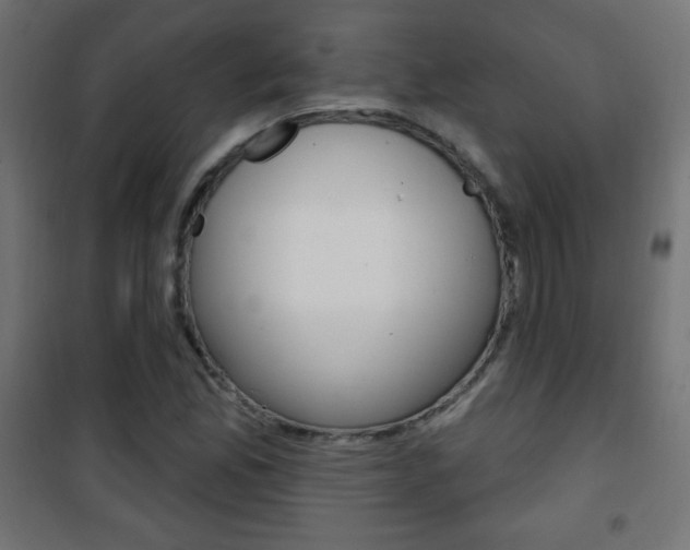 X0000101471165200807071212