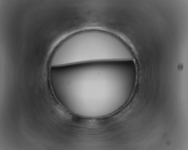 X0000101471167200807071212