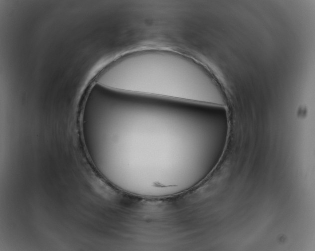 X0000101471168200807071212