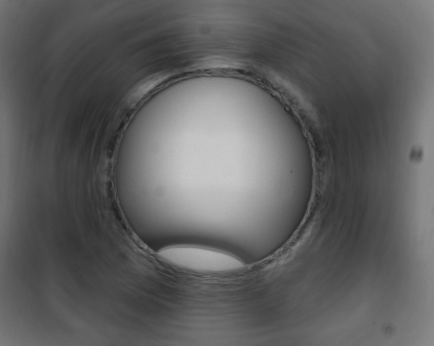 X0000101471169200807071212