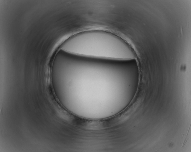 X0000101471171200807071212