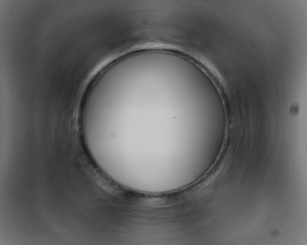 X0000101471173200807071212