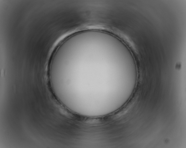 X0000101471174200807071212
