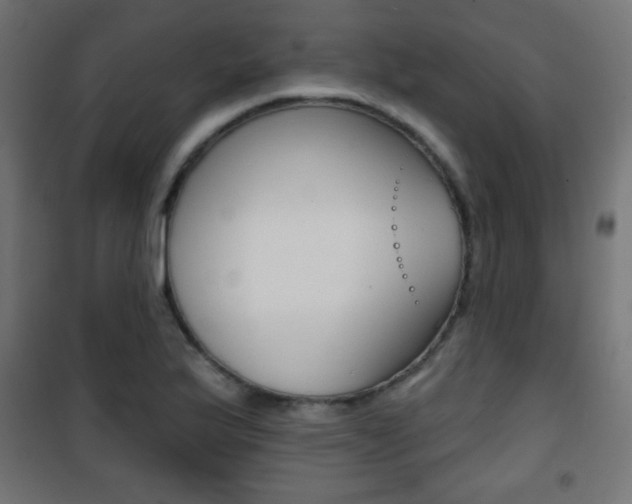 X0000101471175200807071212