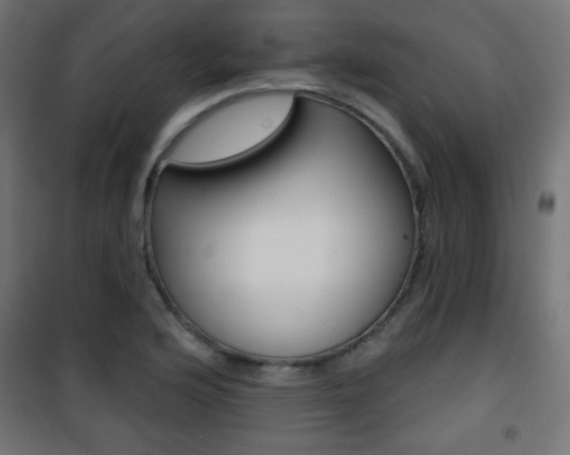 X0000101471176200807071212