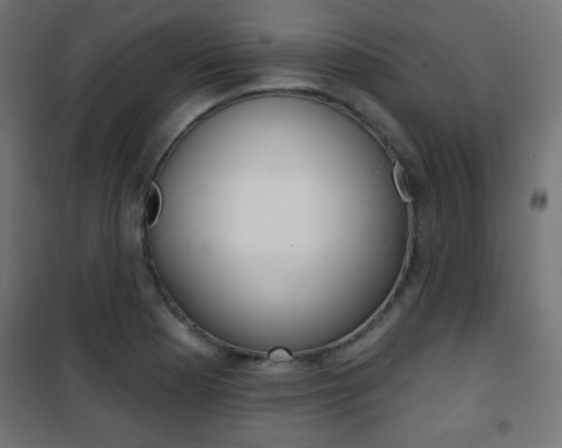 X0000101471177200807071212