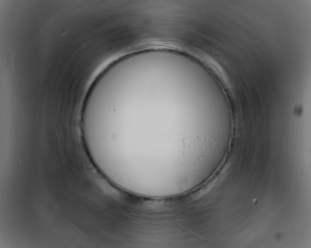 X0000101471182200807071212