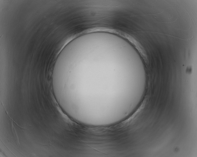 X0000101471185200807071212