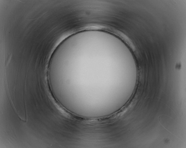 X0000101471186200807071212